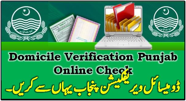 punjab-domicile-verification-management-system-check-online