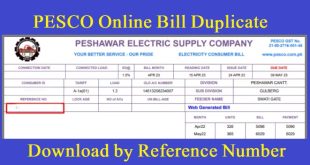 PESCO Bill Online Duplicate 2024 View/Print Electricity Bill